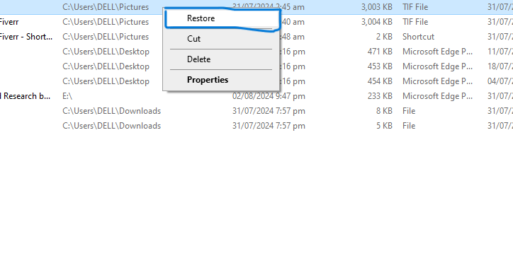 Restore the File from RecycleBin kernelbase.dll appcrash